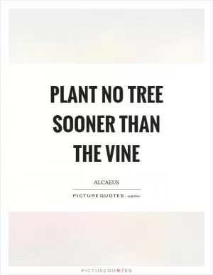Plant no tree sooner than the vine Picture Quote #1