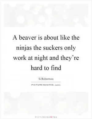 A beaver is about like the ninjas the suckers only work at night and they’re hard to find Picture Quote #1