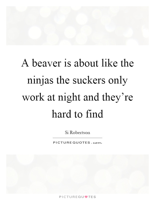 A beaver is about like the ninjas the suckers only work at night and they're hard to find Picture Quote #1
