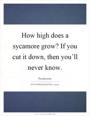 How high does a sycamore grow? If you cut it down, then you’ll never know Picture Quote #1