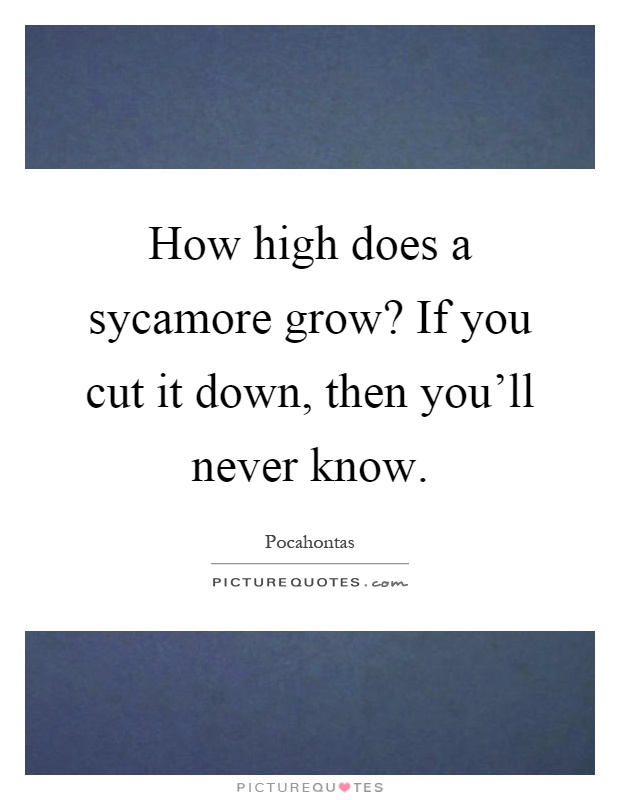 How high does a sycamore grow? If you cut it down, then you'll never know Picture Quote #1