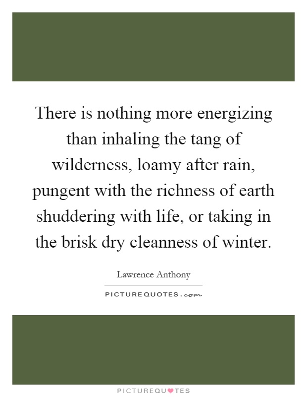 There is nothing more energizing than inhaling the tang of wilderness, loamy after rain, pungent with the richness of earth shuddering with life, or taking in the brisk dry cleanness of winter Picture Quote #1