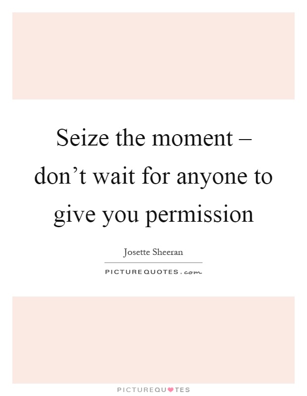Seize the moment – don't wait for anyone to give you permission Picture Quote #1
