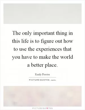 The only important thing in this life is to figure out how to use the experiences that you have to make the world a better place Picture Quote #1