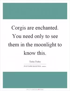 Corgis are enchanted. You need only to see them in the moonlight to know this Picture Quote #1