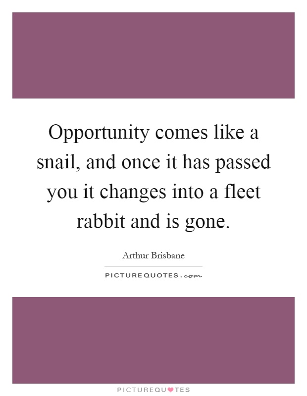 Opportunity comes like a snail, and once it has passed you it changes into a fleet rabbit and is gone Picture Quote #1