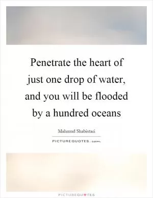 Penetrate the heart of just one drop of water, and you will be flooded by a hundred oceans Picture Quote #1