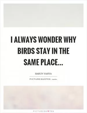 I always wonder why birds stay in the same place Picture Quote #1