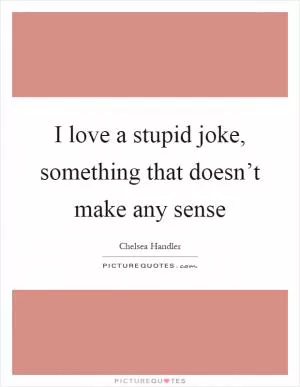 I love a stupid joke, something that doesn’t make any sense Picture Quote #1