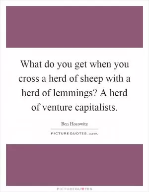 What do you get when you cross a herd of sheep with a herd of lemmings? A herd of venture capitalists Picture Quote #1