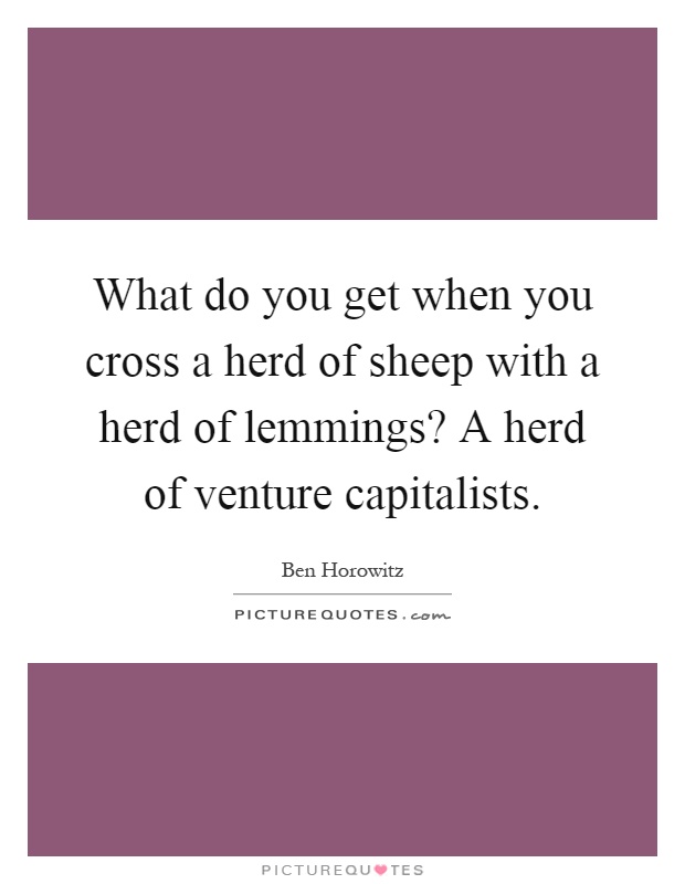 What do you get when you cross a herd of sheep with a herd of lemmings? A herd of venture capitalists Picture Quote #1