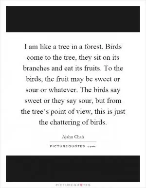 I am like a tree in a forest. Birds come to the tree, they sit on its branches and eat its fruits. To the birds, the fruit may be sweet or sour or whatever. The birds say sweet or they say sour, but from the tree’s point of view, this is just the chattering of birds Picture Quote #1