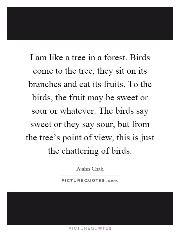 I am like a tree in a forest. Birds come to the tree, they sit on its branches and eat its fruits. To the birds, the fruit may be sweet or sour or whatever. The birds say sweet or they say sour, but from the tree's point of view, this is just the chattering of birds Picture Quote #1