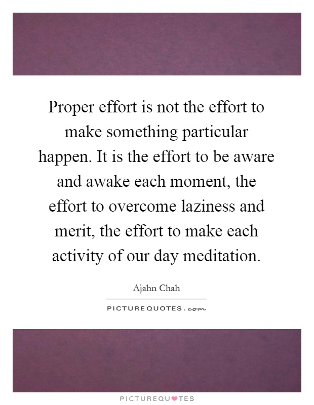 Proper effort is not the effort to make something particular happen. It is the effort to be aware and awake each moment, the effort to overcome laziness and merit, the effort to make each activity of our day meditation Picture Quote #1