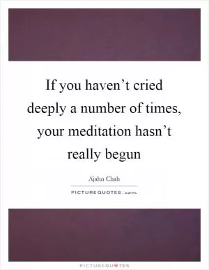 If you haven’t cried deeply a number of times, your meditation hasn’t really begun Picture Quote #1