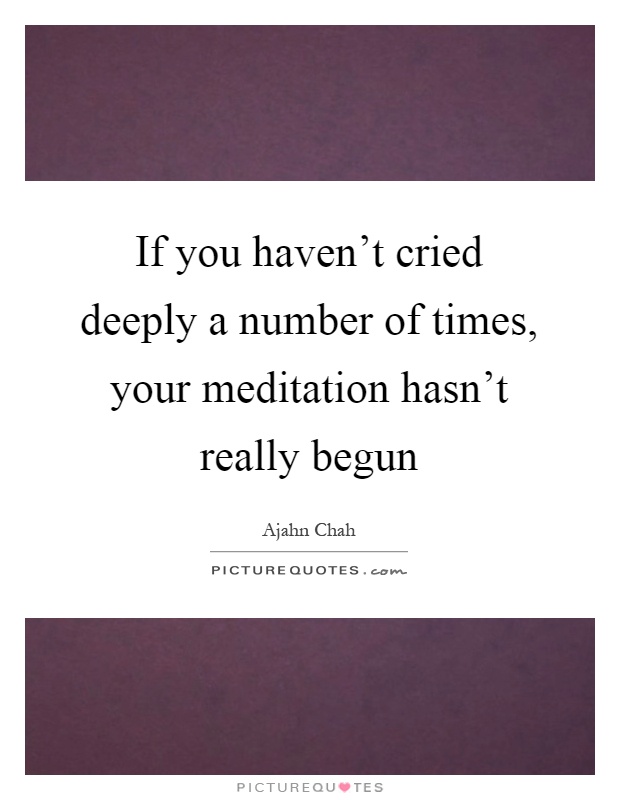 If you haven't cried deeply a number of times, your meditation hasn't really begun Picture Quote #1