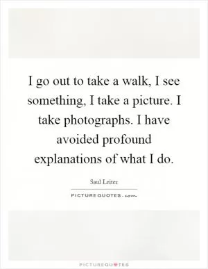 I go out to take a walk, I see something, I take a picture. I take photographs. I have avoided profound explanations of what I do Picture Quote #1