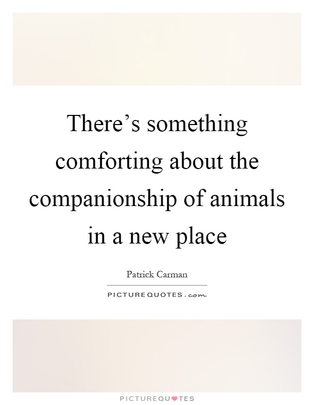 There's something comforting about the companionship of animals in a new place Picture Quote #1
