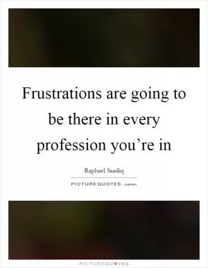 Frustrations are going to be there in every profession you’re in Picture Quote #1