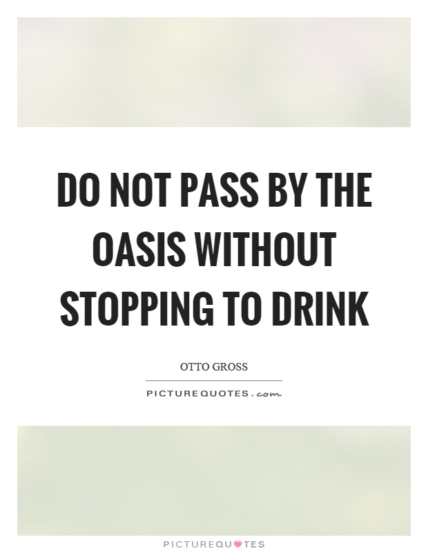 Do not pass by the oasis without stopping to drink Picture Quote #1