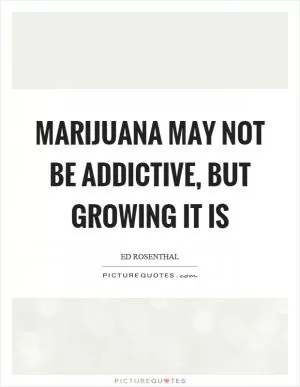 Marijuana may not be addictive, but growing it is Picture Quote #1