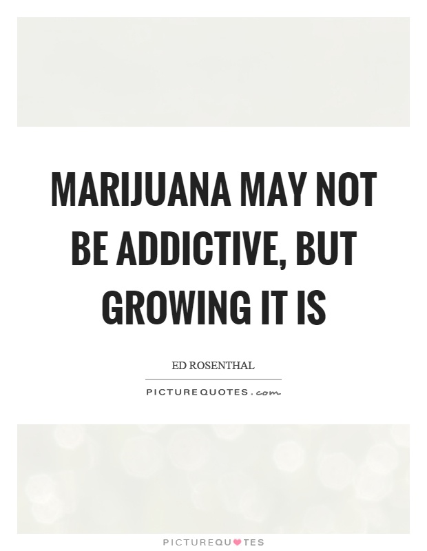 Marijuana may not be addictive, but growing it is Picture Quote #1