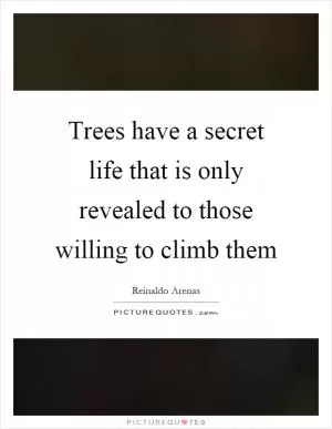 Trees have a secret life that is only revealed to those willing to climb them Picture Quote #1