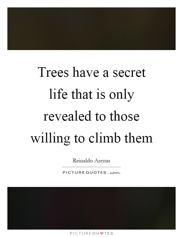 Trees have a secret life that is only revealed to those willing to climb them Picture Quote #1
