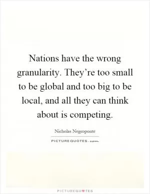 Nations have the wrong granularity. They’re too small to be global and too big to be local, and all they can think about is competing Picture Quote #1