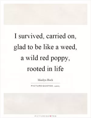 I survived, carried on, glad to be like a weed, a wild red poppy, rooted in life Picture Quote #1
