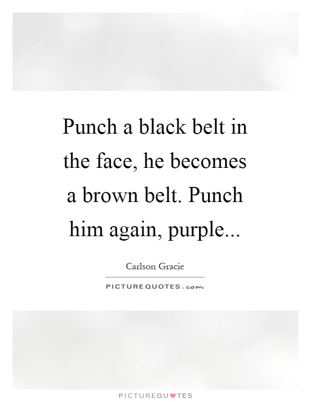 Punch a black belt in the face, he becomes a brown belt. Punch him again, purple Picture Quote #1
