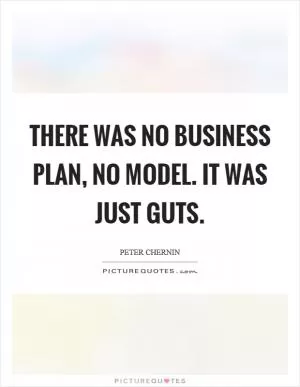 There was no business plan, no model. It was just guts Picture Quote #1