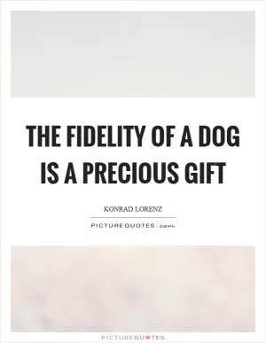 The fidelity of a dog is a precious gift Picture Quote #1
