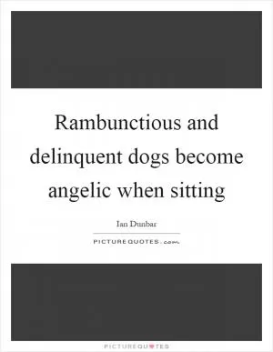 Rambunctious and delinquent dogs become angelic when sitting Picture Quote #1