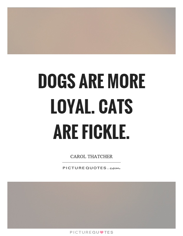 Dogs are more loyal. Cats are fickle Picture Quote #1