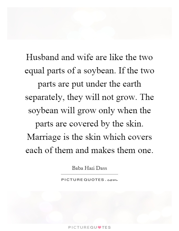 Husband and wife are like the two equal parts of a soybean. If the two parts are put under the earth separately, they will not grow. The soybean will grow only when the parts are covered by the skin. Marriage is the skin which covers each of them and makes them one Picture Quote #1