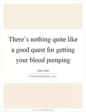 There’s nothing quite like a good quest for getting your blood pumping Picture Quote #1