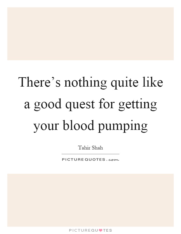 There's nothing quite like a good quest for getting your blood pumping Picture Quote #1