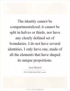 The identity cannot be compartmentalized; it cannot be split in halves or thirds, nor have any clearly defined set of boundaries. I do not have several identities, I only have one, made of all the elements that have shaped its unique proportions Picture Quote #1