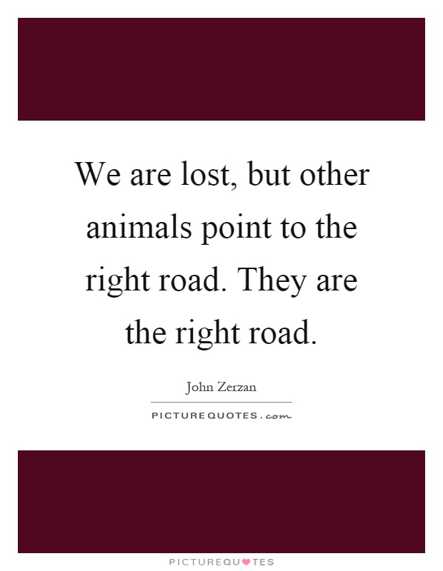 We are lost, but other animals point to the right road. They are the right road Picture Quote #1