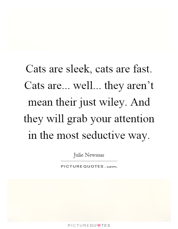 Cats are sleek, cats are fast. Cats are... well... they aren't mean their just wiley. And they will grab your attention in the most seductive way Picture Quote #1