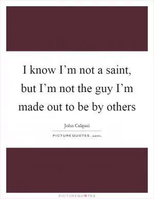 I know I’m not a saint, but I’m not the guy I’m made out to be by others Picture Quote #1