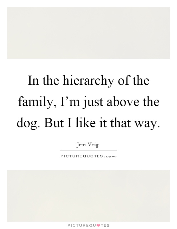 In the hierarchy of the family, I'm just above the dog. But I like it that way Picture Quote #1