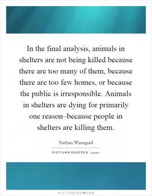 In the final analysis, animals in shelters are not being killed because there are too many of them, because there are too few homes, or because the public is irresponsible. Animals in shelters are dying for primarily one reason–because people in shelters are killing them Picture Quote #1