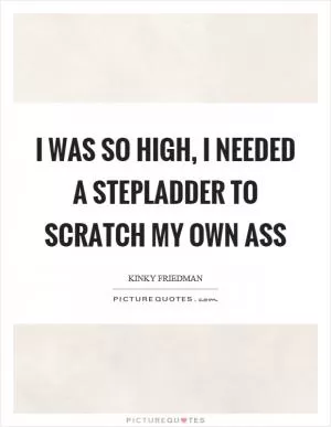 I was so high, I needed a stepladder to scratch my own ass Picture Quote #1