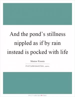 And the pond’s stillness nippled as if by rain instead is pocked with life Picture Quote #1