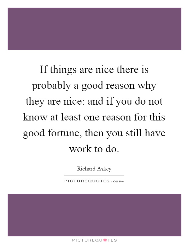 If things are nice there is probably a good reason why they are nice: and if you do not know at least one reason for this good fortune, then you still have work to do Picture Quote #1