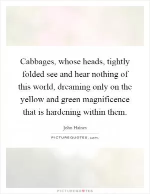 Cabbages, whose heads, tightly folded see and hear nothing of this world, dreaming only on the yellow and green magnificence that is hardening within them Picture Quote #1