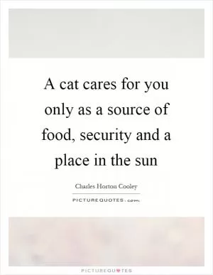 A cat cares for you only as a source of food, security and a place in the sun Picture Quote #1