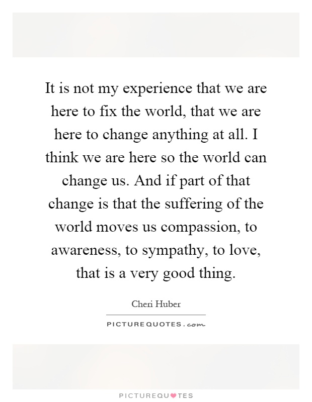 It is not my experience that we are here to fix the world, that we are here to change anything at all. I think we are here so the world can change us. And if part of that change is that the suffering of the world moves us compassion, to awareness, to sympathy, to love, that is a very good thing Picture Quote #1
